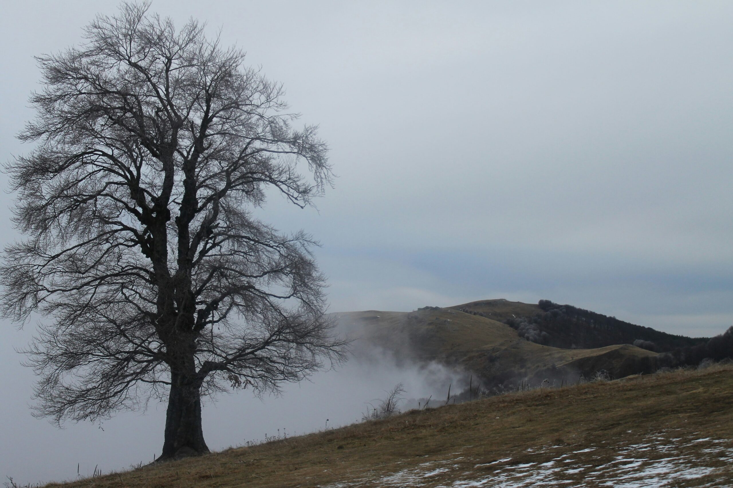 Zgłoszenie wierzytelności w postępowaniu upadłościowym i restrukturyzacyjnym – wszystko, co musisz o nim wiedzieć